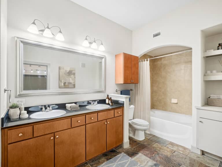 Lofts-at-Lakeview-apartments-bath1